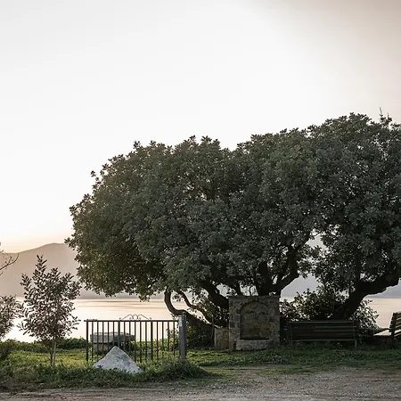 Casa Nougia Willa Chania (Crete)
