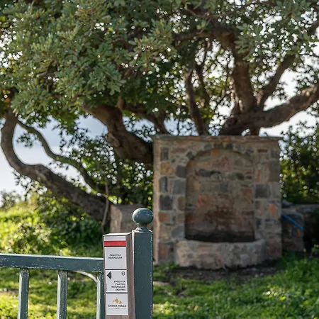 Casa Nougia