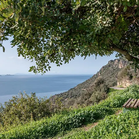 Casa Nougia Willa Chania (Crete)