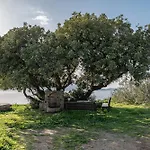 Casa Nougia فيلة *