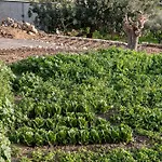Casa Nougia خانيا