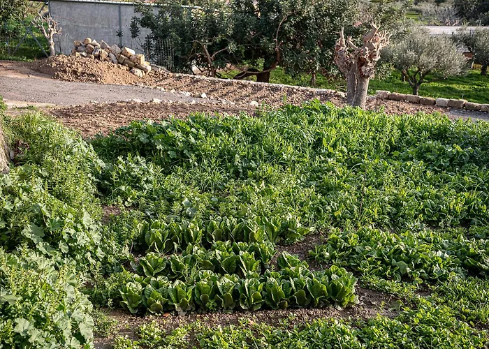 Casa Nougia 干尼亞